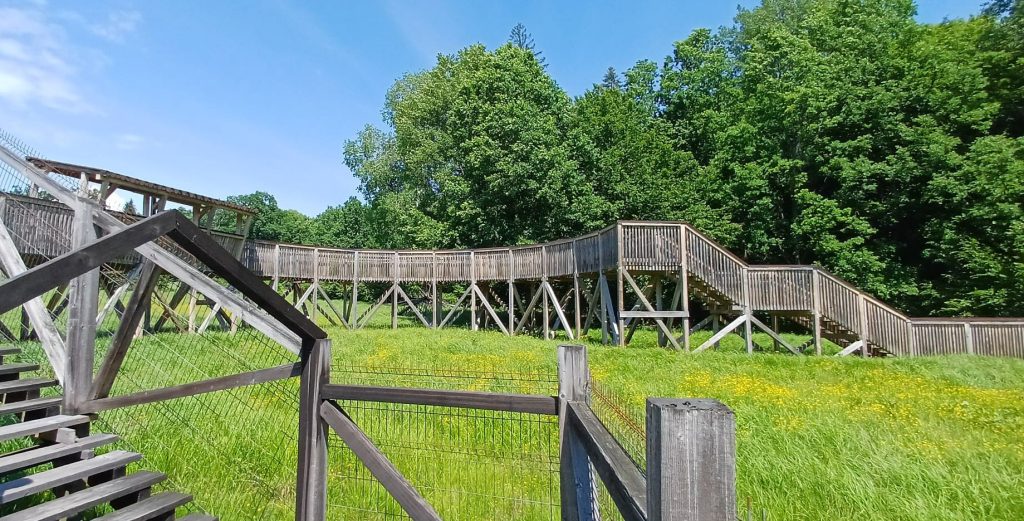 pasarela suspendata parcul natural vanatori neamt